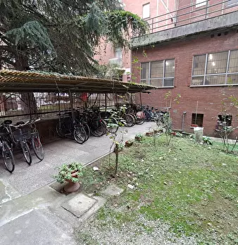 Foto annuncio 17