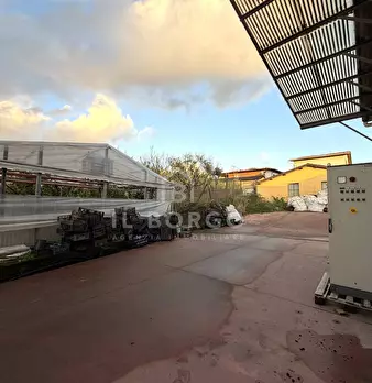 Foto annuncio 7
