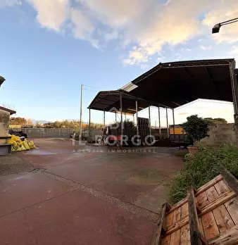 Foto annuncio 8