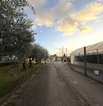 Foto annuncio 13