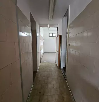 Foto annuncio 6