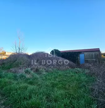 Foto annuncio 3