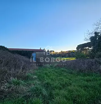 Foto annuncio 7