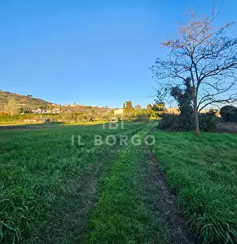 Foto annuncio 10