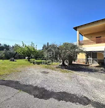 Foto annuncio 31