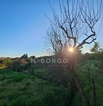 Foto annuncio 6