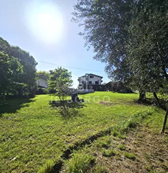 Foto annuncio 31