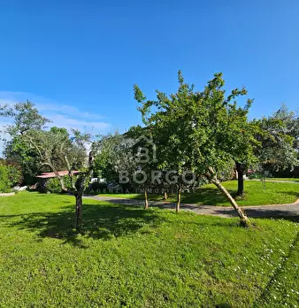 Foto annuncio 49