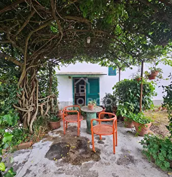 Foto annuncio 28