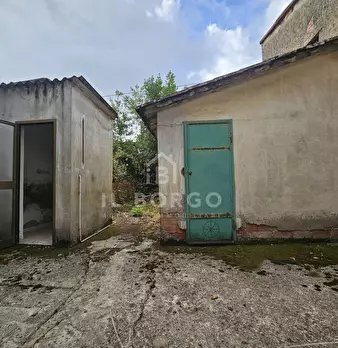 Foto annuncio 6
