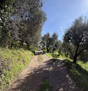 Foto annuncio 10