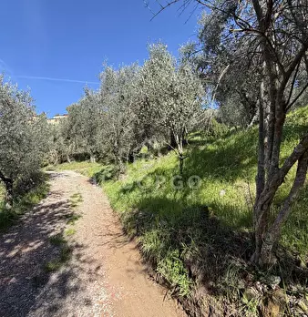 Foto annuncio 11