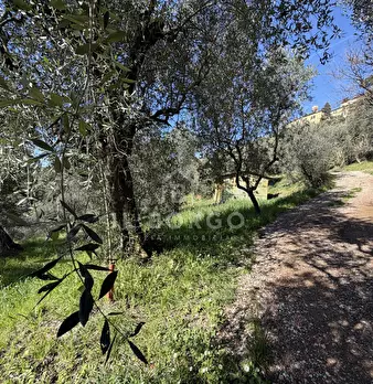Foto annuncio 12