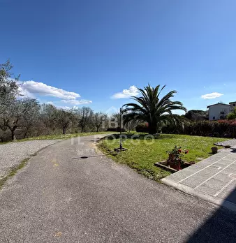 Foto annuncio 53