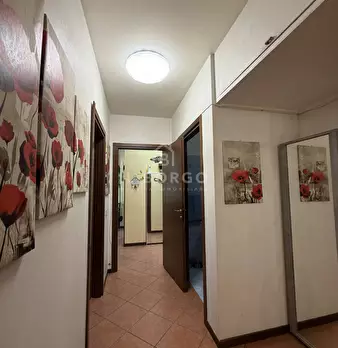 Foto annuncio 19