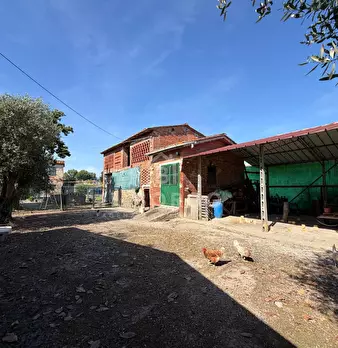 Foto annuncio 64