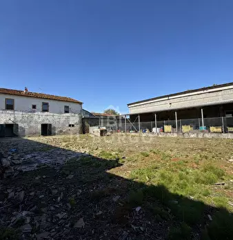Foto annuncio 26