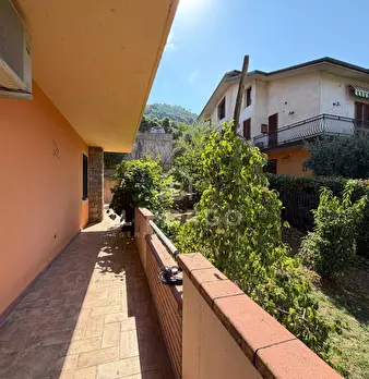 Foto annuncio 14