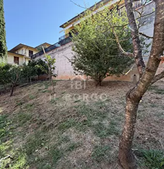 Foto annuncio 20