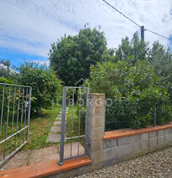 Foto annuncio 46