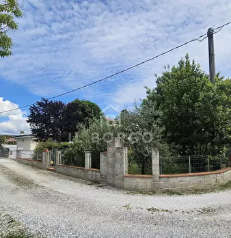 Foto annuncio 47
