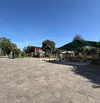 Foto annuncio 21