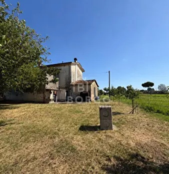 Foto annuncio 49