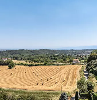 Foto annuncio 16