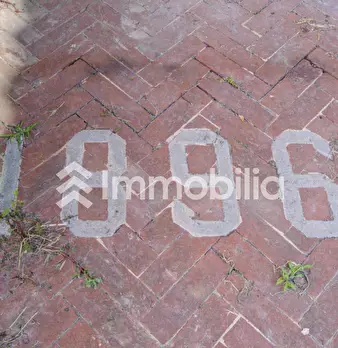 Foto annuncio 36