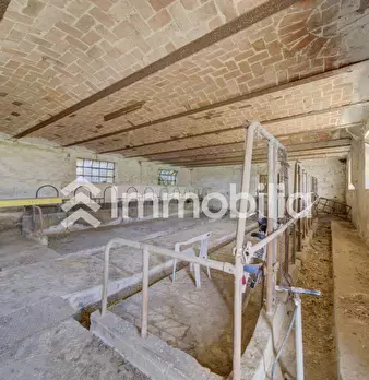 Foto annuncio 58