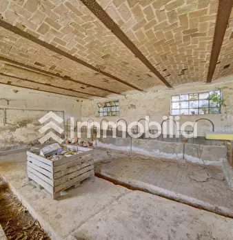 Foto annuncio 59