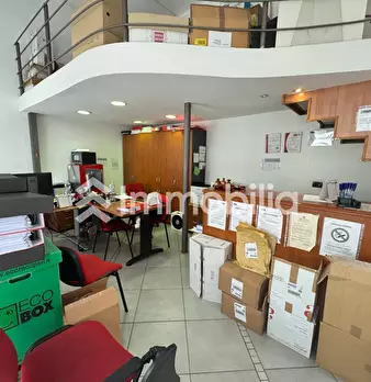 Foto annuncio 11