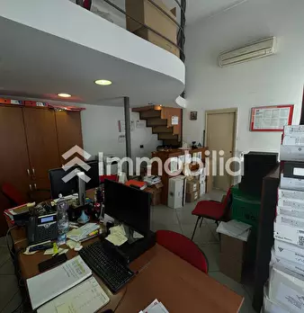 Foto annuncio 14