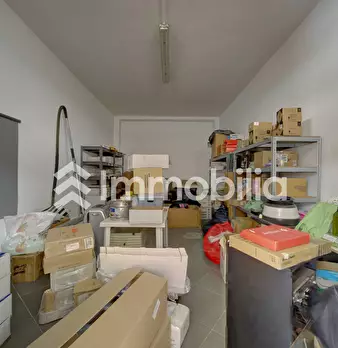 Foto annuncio 42