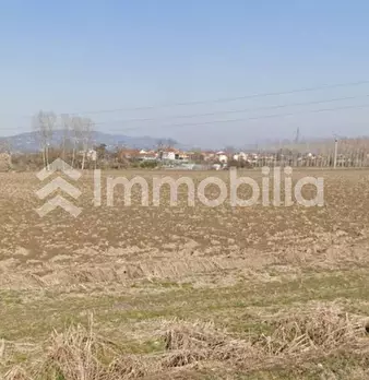 Foto annuncio 4