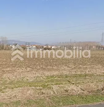 Foto annuncio 6