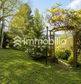 Foto annuncio 50