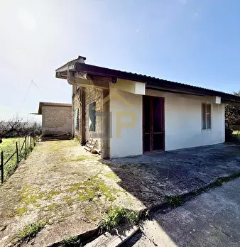 Foto annuncio 29