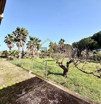Foto annuncio 26