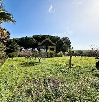 Foto annuncio 40