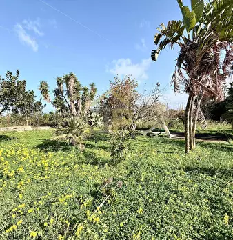 Foto annuncio 41