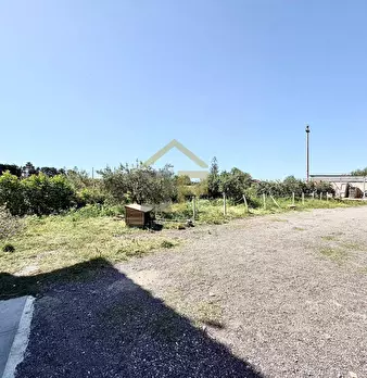 Foto annuncio 25