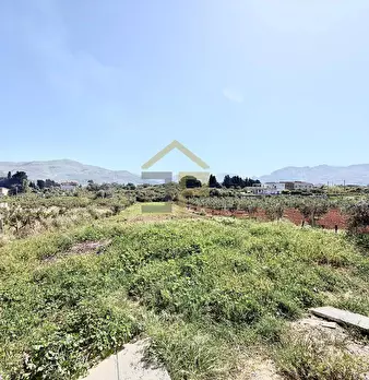Foto annuncio 26