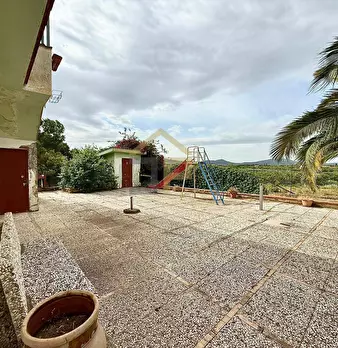 Foto annuncio 21