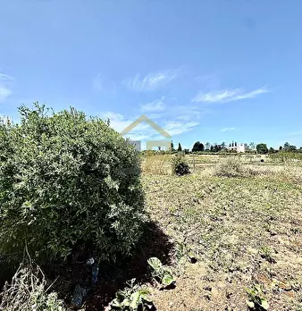 Foto annuncio 21