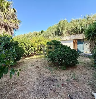 Foto annuncio 30