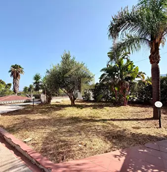 Foto annuncio 59