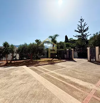 Foto annuncio 60
