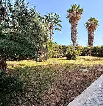 Foto annuncio 10