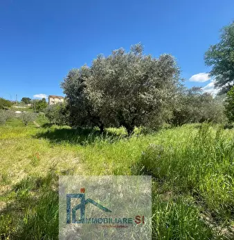 Foto annuncio 5